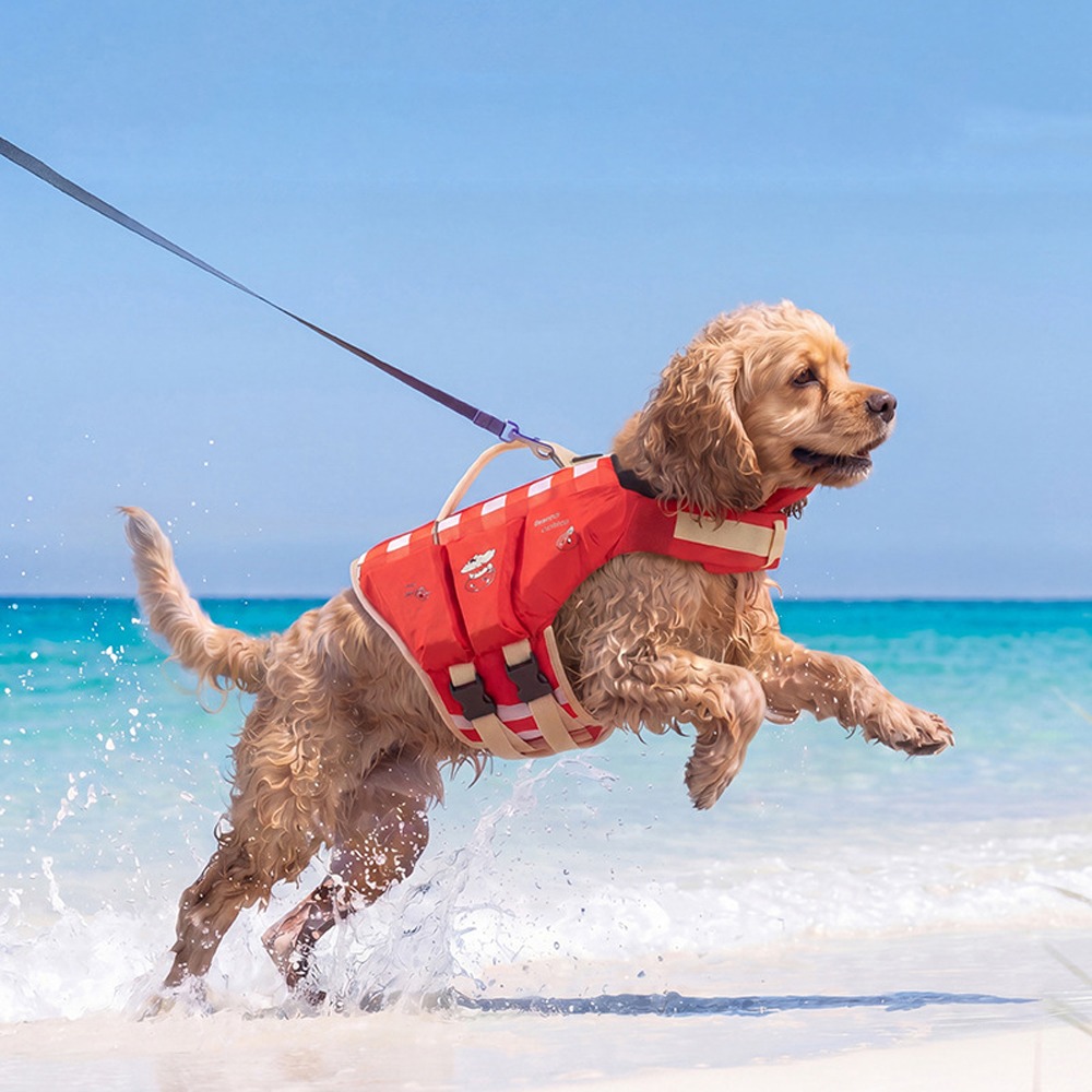 Life Jacket - Su geçirmez Köpek Can Yeleği Nefes