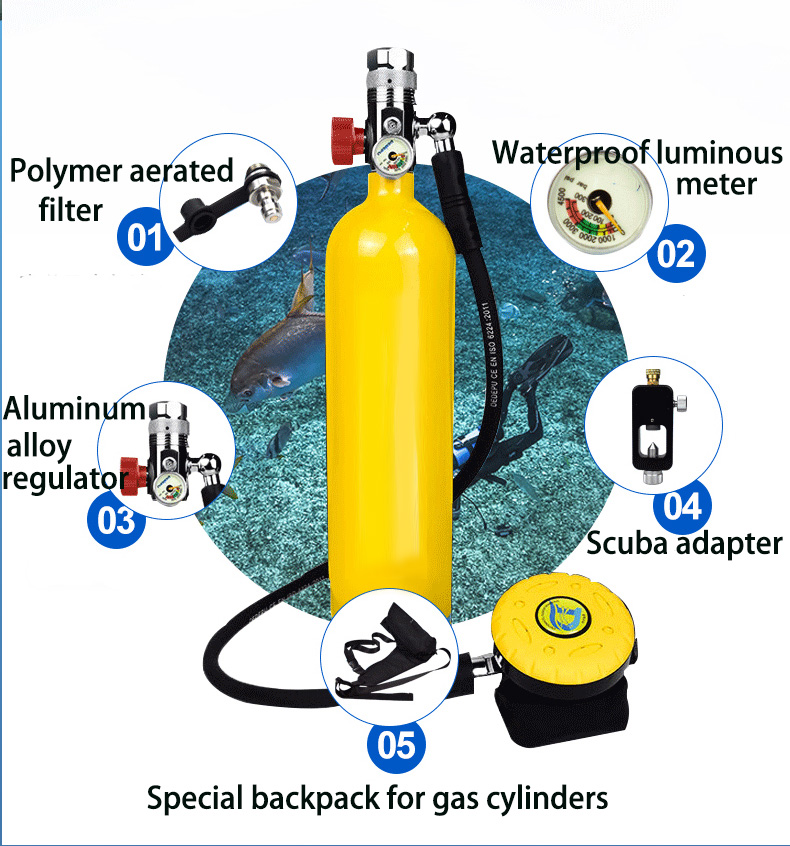 Oksijen Tüpü Dalış tüpü Taşına - Diving Mask incelemesi ve fiyatı